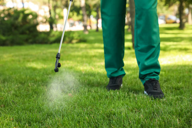 Best Pest Removal Services  in Dyer, IN