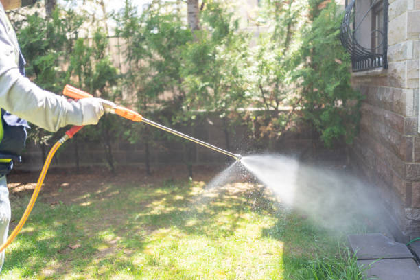 Best Local Pest Control Services  in Dyer, IN