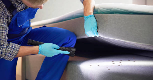 Best Best Pest Control Companies  in Dyer, IN