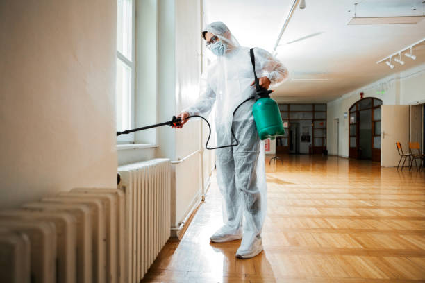 Best Local Pest Control Services  in Dyer, IN