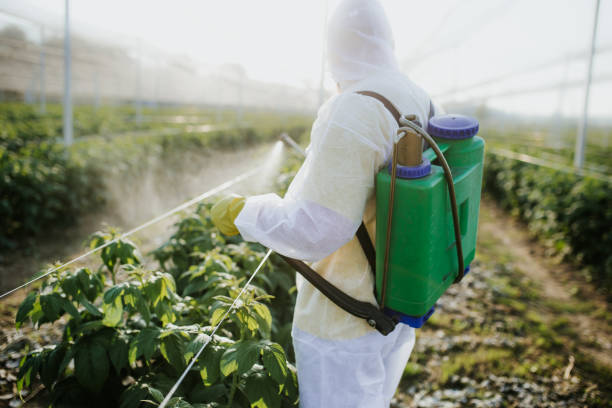 Best Affordable Pest Control Services  in Dyer, IN